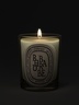 Diptyque Classic Candle Rhubarbe