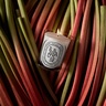 Diptyque Classic Candle Rhubarbe