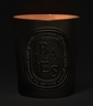 Diptyque Candle Baies 600g