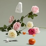 Penhaligon's The Coveted Duchess Rose 75ml