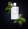 Van Cleef & Arpels Patchouli Blanc