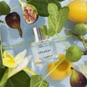 Lake & Skye Apaaray 15 ml
