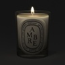 Diptyque Mini Candle Ambre 70 g
