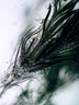 27 87 2021 - Gin Mare