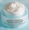 Peter Thomas Roth Water Drench Hyaluronic Cloud Cream Hydrating Moisturizer