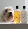 Bondi Wash Dog Wash Paperbark & Lemongrass