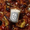 Diptyque Ambre Classic Candle 190g