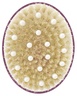 La Bonne Brosse Body Brush N.02 Aubergine