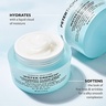 Peter Thomas Roth Water Drench Hyaluronic Cloud Cream Hydrating Moisturizer