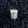Diptyque Baies Classic Candle 190g