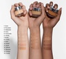 Chantecaille Future Skin Oil-Free Gel Foundation Aura