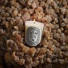 Diptyque Benjoin Classic Candle