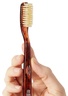 C.O. Bigelow Natural Bristle Toothbrush - Tortoise Medium Bristle