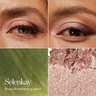 Chantecaille Luminescent Eye Shadow Marti