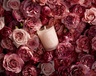 Diptyque Roses Medium candle 300g
