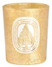 Diptyque Small candle Sapin