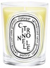 Diptyque Citronnelle Classic Candle