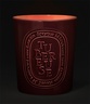Diptyque Candle Tubéreuse 600g