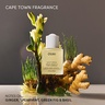 OUAI Scalp Serum