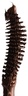 FARA HOMIDI Pool Slick Lash Lacquer Cabana
