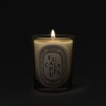 Diptyque Eucalyptus Classic Candle
