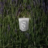 Diptyque Feuille de Lavande Classic Candle 190g