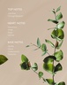 Irene Forte Pistachio Body Oil