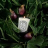 Diptyque Figuier Classic Candle 190g