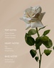 Irene Forte Rose Body Oil