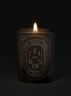Diptyque Large Candle Feu de Bois 600g