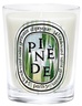 Diptyque Pinède (Pine Grove) - Classic Candle
