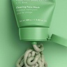 Sand & Sky Oil Control - Clearing Face Mask