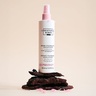 Christophe Robin Instant Volumising Leave-In Mist With Rose Water