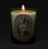 Diptyque Pinède (Pine Grove) - Classic Candle