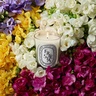 Diptyque Freesia Classic Candledle 190g