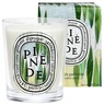 Diptyque Pinède (Pine Grove) - Classic Candle