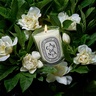 Diptyque Gardenia Classic Candle