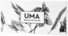 Uma Oils Wellness Oil Trial Kit