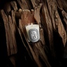 Diptyque Oud Classic Candle