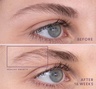 Virtue Flourish Brow Density Booster