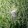 Diptyque Muguet Classic Candle