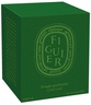 Diptyque Green Candle Figuier