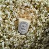 Diptyque Jasmin Classic Candle 190g