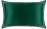 Slip Pure Silk Queen Pillowcase - The Green