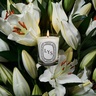 Diptyque Lys Classic Candle
