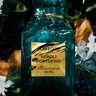 Tom Ford Neroli Portofino 50ml