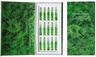 Royal Fern Phytoactive Illuminating Ampoules