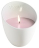 Vyrao ROSE MARIE Candle 170 g