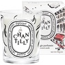 Diptyque White Candle Boost Classic Candle Chantilly