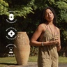 Ancient + Brave Coffee + Collagen
